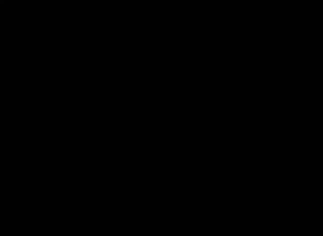 Phalia putaria outcome