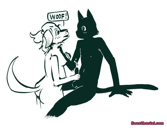 Eye contact is important for Kitty — male/female